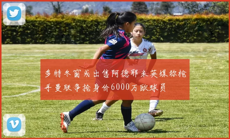 多特冬窗或出售阿德耶米英媒称枪手曼联争抢身价6000万欧球员